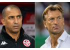 Mondial 2026 : Sabri Lamouchi viré après la gifle reçue face à la Suède, Hervé Renard appelé en pompier