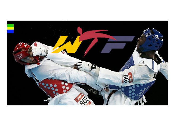 Mondial 2013 de Taekwondo : le Gabon retenu pour abriter la compétition ?