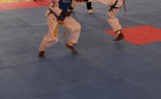 Taekwondo : le club Panthère rugit à Oyem et s'offre la 3e étape du Challenge provincial